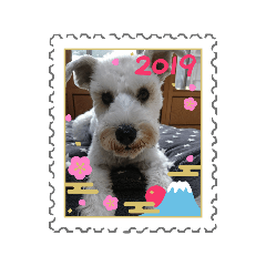 [LINEスタンプ] 私の可愛い愛犬～お正月編～
