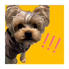 [LINEスタンプ] めかぶたん② 