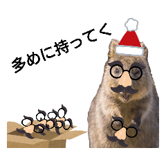 [LINEスタンプ] 冬のクアッカワラビーさん