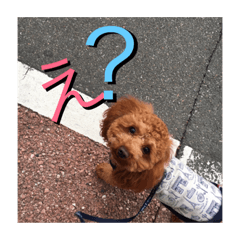 [LINEスタンプ] わが家のりくです。