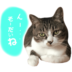 [LINEスタンプ] おれ、ぺぇやん2 