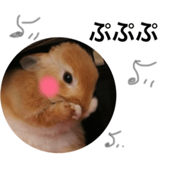 [LINEスタンプ] うさぎのララさん4