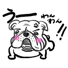 [LINEスタンプ] ブルドックのスタンプです。