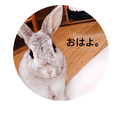 [LINEスタンプ] risamaru