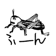 [LINEスタンプ] 虫むしムシ