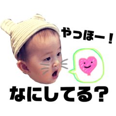 [LINEスタンプ] 返信用めんこちゃん第二弾