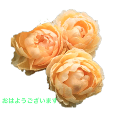 [LINEスタンプ] 素敵なバラに気持ちを込めて