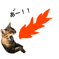 [LINEスタンプ] 猫、いろいろ言う