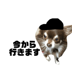 [LINEスタンプ] 我が家のエンジェルズ2