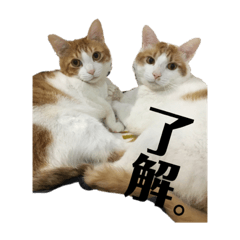 [LINEスタンプ] ろっぷ日常Ver．