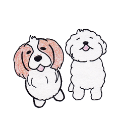 [LINEスタンプ] 色えんぴつで描いたもふもふわんこ