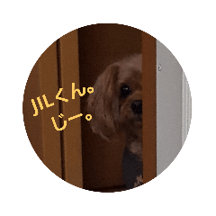 [LINEスタンプ] JILVAL スタンプ 