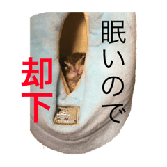 [LINEスタンプ] どこか上から目線なリス。マサムネくん 