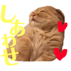 [LINEスタンプ] 龍吉がゆく 