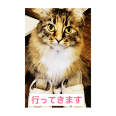 [LINEスタンプ] konatsu2
