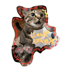 [LINEスタンプ] 箱入りにゃんこ♡ じんぱちさん 