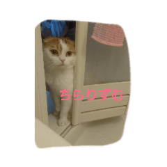 [LINEスタンプ] るたんず 