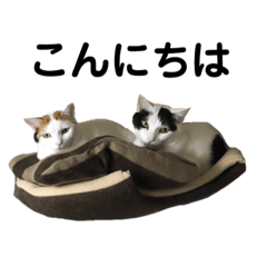 [LINEスタンプ] ハンスとふじ2 