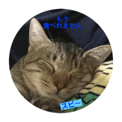 [LINEスタンプ] 愛犬と猫3 