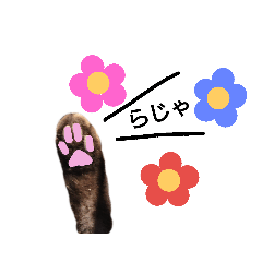 [LINEスタンプ] ねこースタンプ9