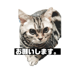[LINEスタンプ] アメち〜2 fetchpriority=high