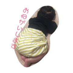 [LINEスタンプ] らおんスタイル 