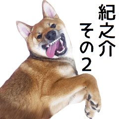 [LINEスタンプ] 柴犬 紀之介2の画像（メイン）