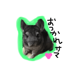 [LINEスタンプ] チラ、テグ、カエル＆ウーパー