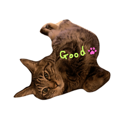 [LINEスタンプ] チビ にゃんこ2