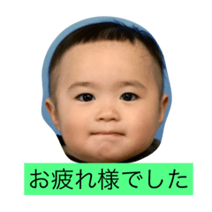 [LINEスタンプ] かえってきたあおいさん