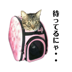 [LINEスタンプ] もも スタンプ2の画像（メイン）