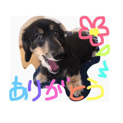 [LINEスタンプ] チップくん大好き 