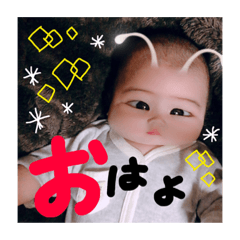 [LINEスタンプ] なちゅちゅの日常 