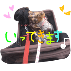 [LINEスタンプ] ベリーとチップの物語2 