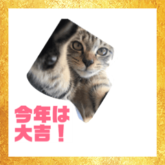 [LINEスタンプ] 今年も元気！クロちゃんの正月