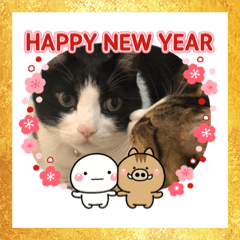 [LINEスタンプ] 次元とkeiと時々くぅ 2019 HAPPY NEW YEARの画像（メイン）