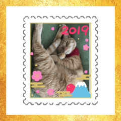 [LINEスタンプ] ニャンコたちの新年挨拶