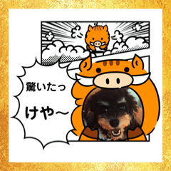 [LINEスタンプ] 清水弁のクマトラ