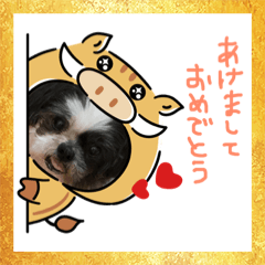 [LINEスタンプ] ごまさんスタンプ①