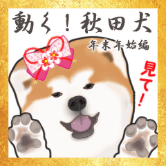 [LINEスタンプ] 秋田犬の年末年始スタンプの画像（メイン）