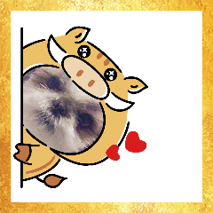 [LINEスタンプ] 愛犬の明けましておめでとう