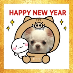 [LINEスタンプ] 大切な家族スタンプ♡♡
