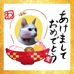 [LINEスタンプ] neko_2018 