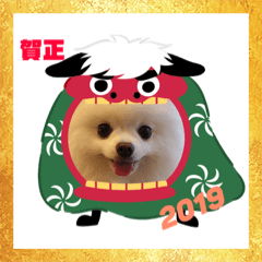 [LINEスタンプ] ポメラニアン「MERU」〜No.003 fetchpriority=high