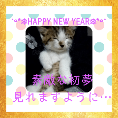 [LINEスタンプ] 猫ちゃん新年挨拶