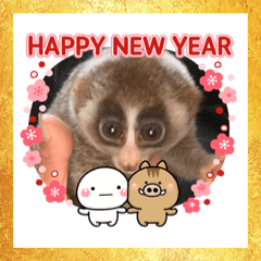 [LINEスタンプ] ノロマちゃん