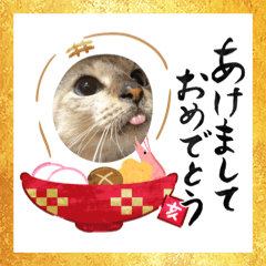 [LINEスタンプ] 保護っ子スタンプ♡