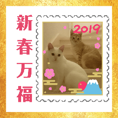 [LINEスタンプ] 雪慶ニャーズ 正月Ver.