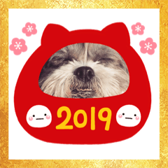 [LINEスタンプ] 下出っ歯シーズーミキちゃん 