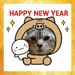 [LINEスタンプ] ☆ HAPPY NEW YEAR ☆☆ちぃ助☆